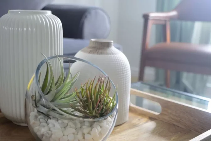 5 astuces pour dépolluer l’air intérieur